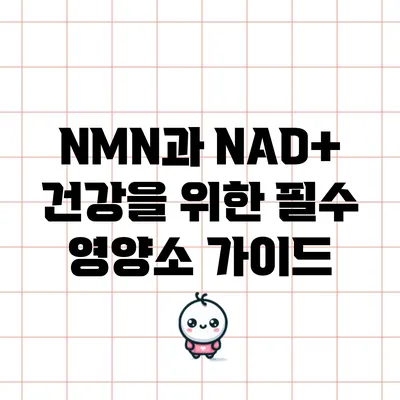 NMN과 NAD+: 건강을 위한 필수 영양소 가이드