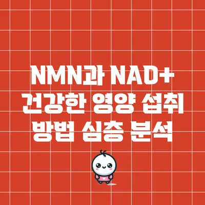 NMN과 NAD+: 건강한 영양 섭취 방법 심층 분석