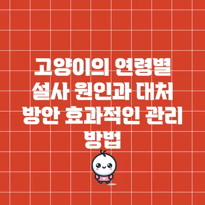 고양이의 연령별 설사 원인과 대처 방안: 효과적인 관리 방법