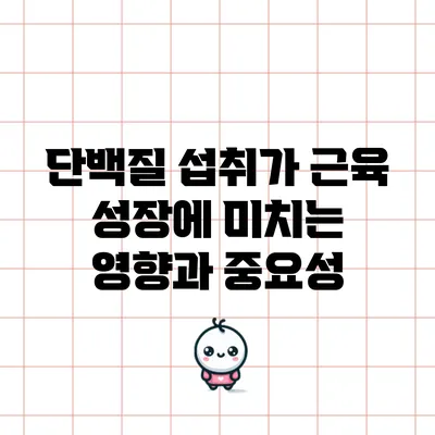 단백질 섭취가 근육 성장에 미치는 영향과 중요성