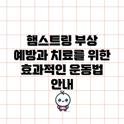 햄스트링 부상 예방과 치료를 위한 효과적인 운동법 안내