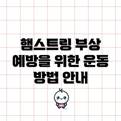 햄스트링 부상 예방을 위한 운동 방법 안내