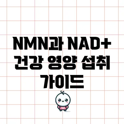 NMN과 NAD+: 건강 영양 섭취 가이드