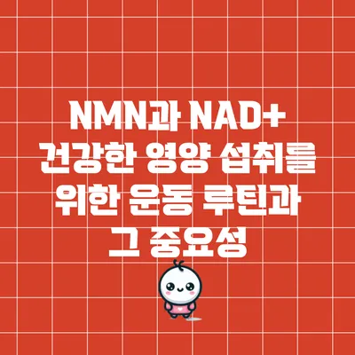 NMN과 NAD+: 건강한 영양 섭취를 위한 운동 루틴과 그 중요성