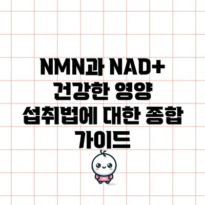 NMN과 NAD+: 건강한 영양 섭취법에 대한 종합 가이드