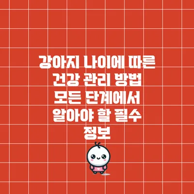 강아지 나이에 따른 건강 관리 방법: 모든 단계에서 알아야 할 필수 정보