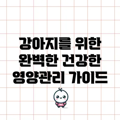 강아지를 위한 완벽한 건강한 영양관리 가이드