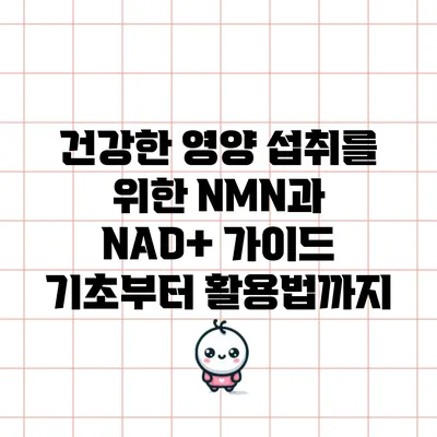 건강한 영양 섭취를 위한 NMN과 NAD+ 가이드: 기초부터 활용법까지