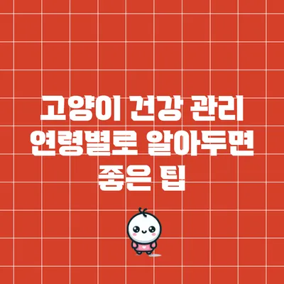 고양이 건강 관리: 연령별로 알아두면 좋은 팁