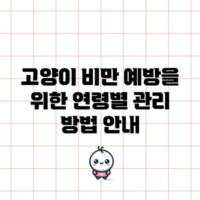 고양이 비만 예방을 위한 연령별 관리 방법 안내
