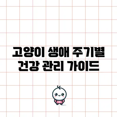 고양이 생애 주기별 건강 관리 가이드