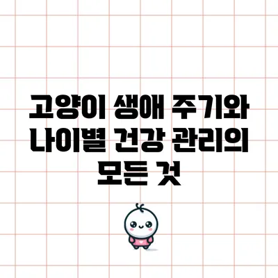 고양이 생애 주기와 나이별 건강 관리의 모든 것
