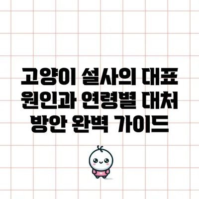 고양이 설사의 대표 원인과 연령별 대처 방안 완벽 가이드