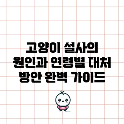 고양이 설사의 원인과 연령별 대처 방안 완벽 가이드
