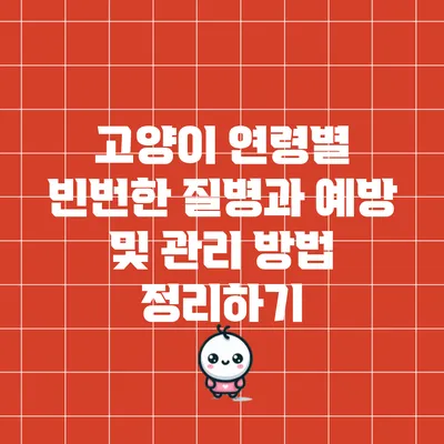 고양이 연령별 빈번한 질병과 예방 및 관리 방법 정리하기
