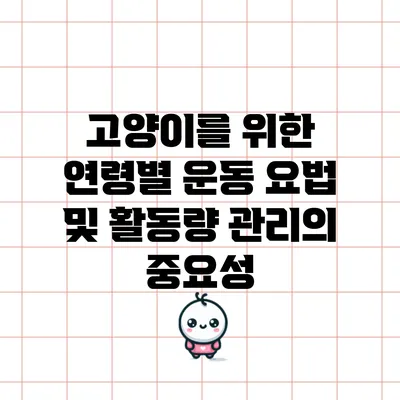 고양이를 위한 연령별 운동 요법 및 활동량 관리의 중요성