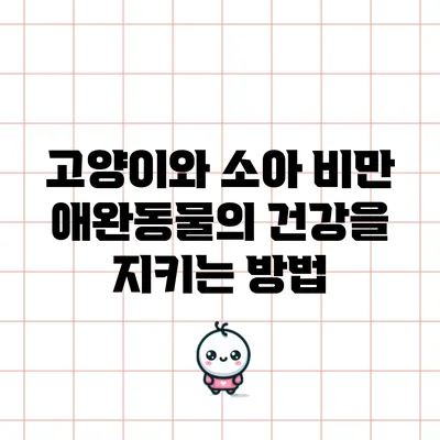 고양이와 소아 비만: 애완동물의 건강을 지키는 방법