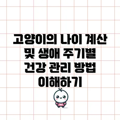 고양이의 나이 계산 및 생애 주기별 건강 관리 방법 이해하기