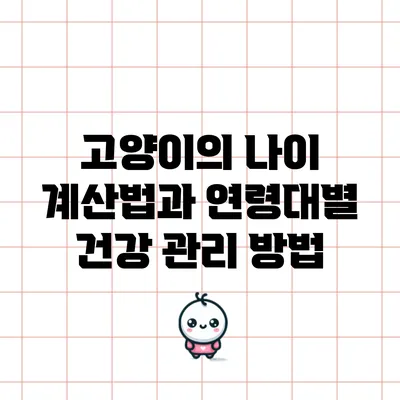 고양이의 나이 계산법과 연령대별 건강 관리 방법