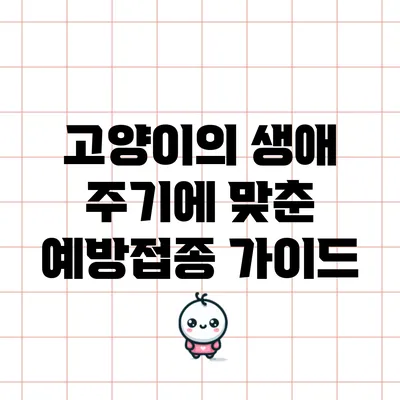 고양이의 생애 주기에 맞춘 예방접종 가이드