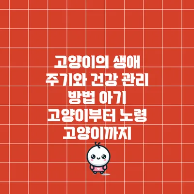 고양이의 생애 주기와 건강 관리 방법: 아기 고양이부터 노령 고양이까지