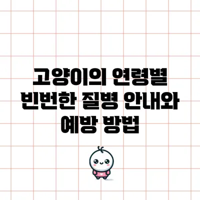 고양이의 연령별 빈번한 질병 안내와 예방 방법