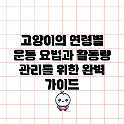 고양이의 연령별 운동 요법과 활동량 관리를 위한 완벽 가이드