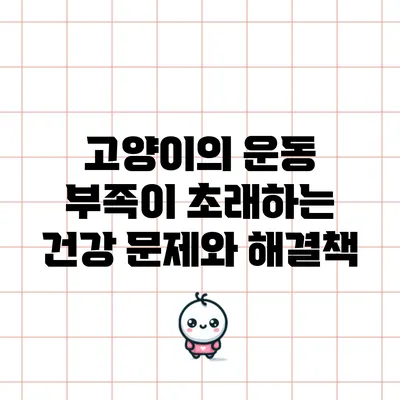 고양이의 운동 부족이 초래하는 건강 문제와 해결책
