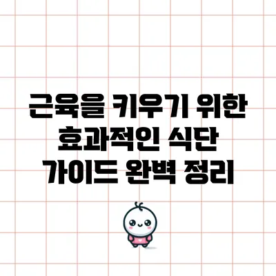 근육을 키우기 위한 효과적인 식단 가이드 완벽 정리