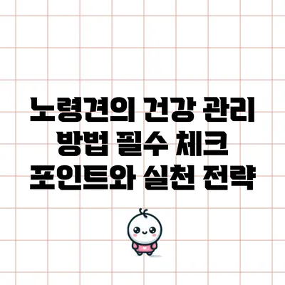노령견의 건강 관리 방법: 필수 체크 포인트와 실천 전략