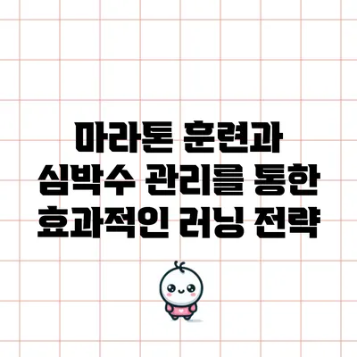 마라톤 훈련과 심박수 관리를 통한 효과적인 러닝 전략