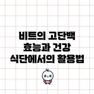 비트의 고단백 효능과 건강 식단에서의 활용법