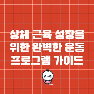 상체 근육 성장을 위한 완벽한 운동 프로그램 가이드