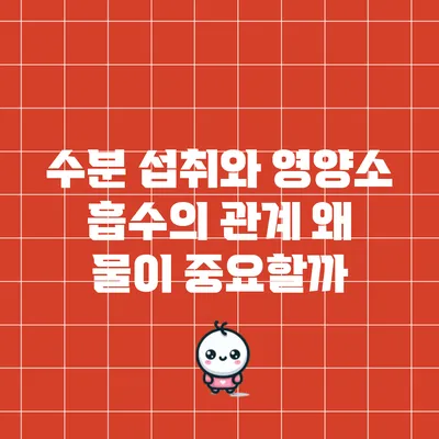 수분 섭취와 영양소 흡수의 관계: 왜 물이 중요할까?
