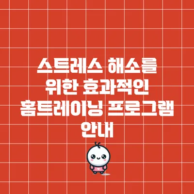스트레스 해소를 위한 효과적인 홈트레이닝 프로그램 안내