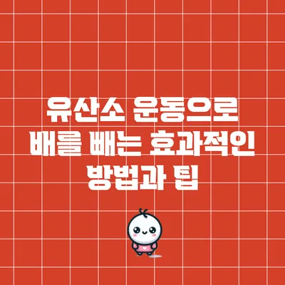 유산소 운동으로 배를 빼는 효과적인 방법과 팁