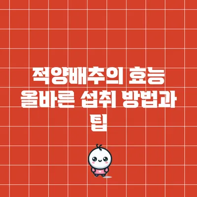 적양배추의 효능: 올바른 섭취 방법과 팁