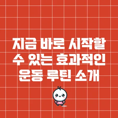지금 바로 시작할 수 있는 효과적인 운동 루틴 소개