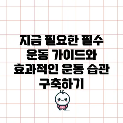 지금 필요한 필수 운동 가이드와 효과적인 운동 습관 구축하기