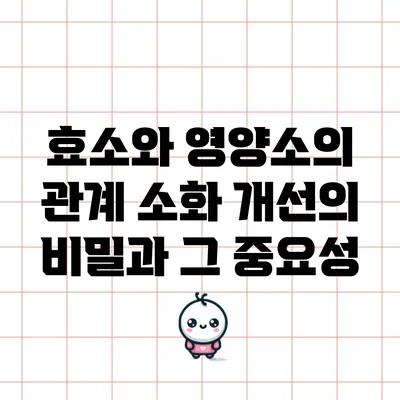 효소와 영양소의 관계: 소화 개선의 비밀과 그 중요성