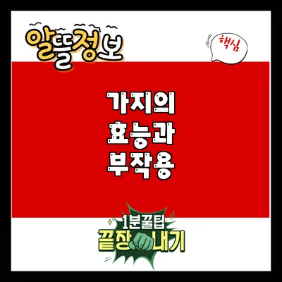 가지의 효능과 부작용