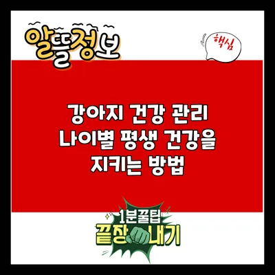 강아지 건강 관리: 나이별 평생 건강을 지키는 방법