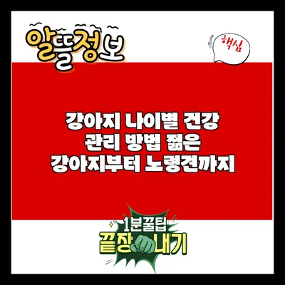 강아지 나이별 건강 관리 방법: 젊은 강아지부터 노령견까지