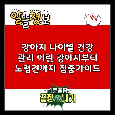 강아지 나이별 건강 관리: 어린 강아지부터 노령견까지 집중가이드