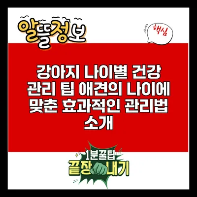강아지 나이별 건강 관리 팁: 애견의 나이에 맞춘 효과적인 관리법 소개