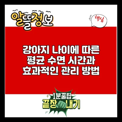 강아지 나이에 따른 평균 수면 시간과 효과적인 관리 방법