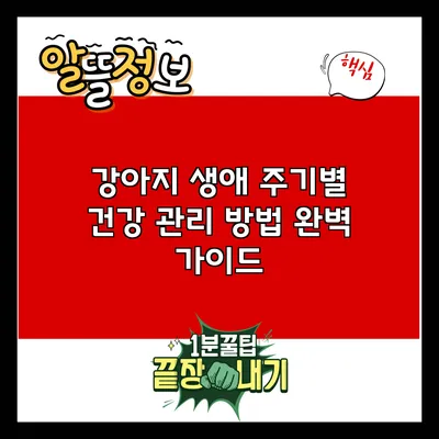 강아지 생애 주기별 건강 관리 방법 완벽 가이드