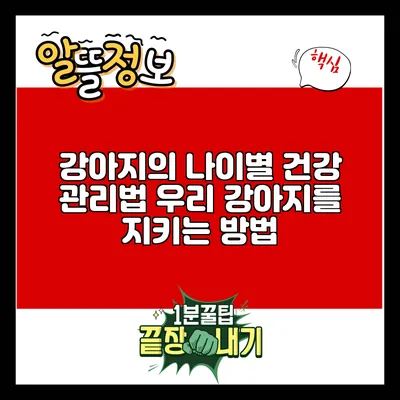 강아지의 나이별 건강 관리법: 우리 강아지를 지키는 방법