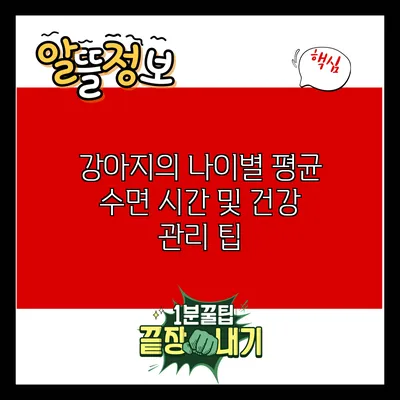 강아지의 나이별 평균 수면 시간 및 건강 관리 팁