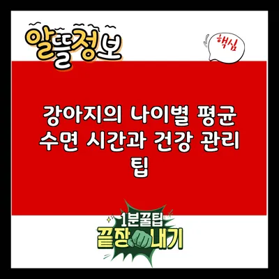 강아지의 나이별 평균 수면 시간과 건강 관리 팁